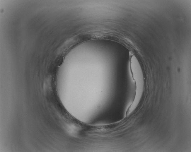 X0000077390217200611101802