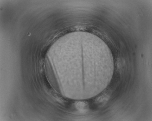 X0000077390218200611101802