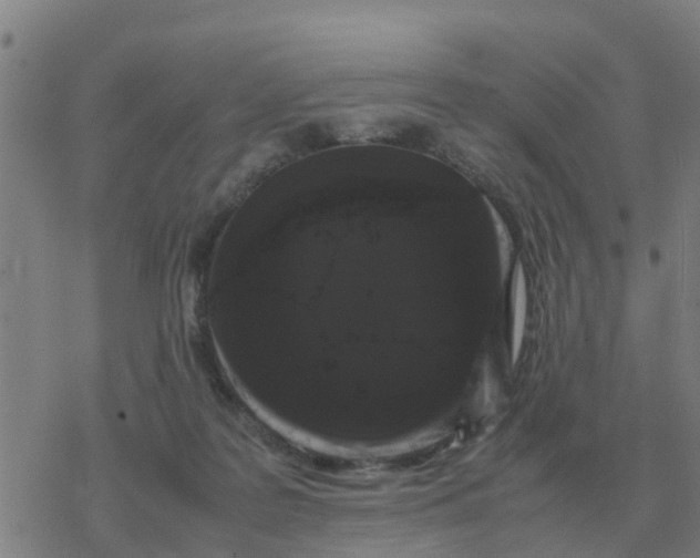 X0000077390219200611101802