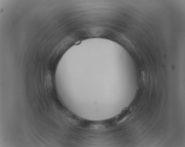 X0000077390220200611101802