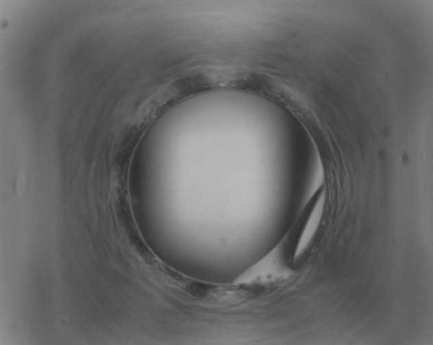 X0000077390221200611101802