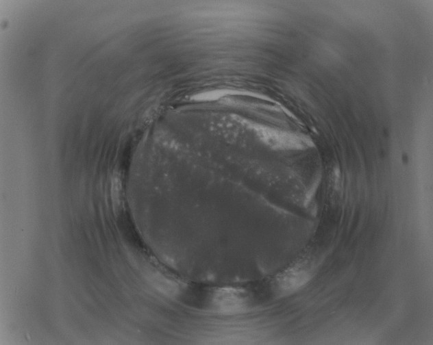 X0000077390222200611101802