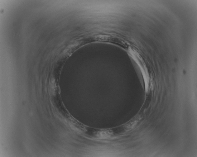 X0000077390223200611101802