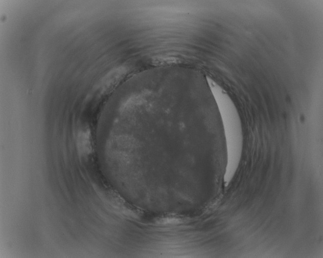 X0000077390224200611101802