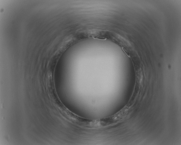 X0000077390225200611101802