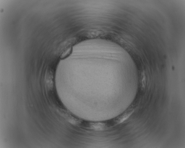 X0000077390226200611101802