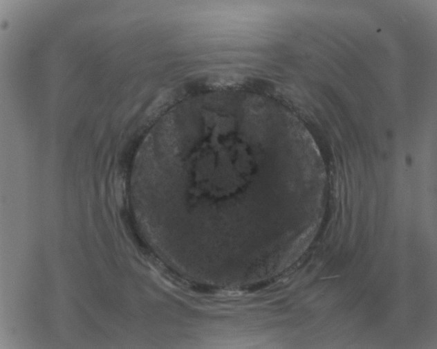 X0000077390227200611101802