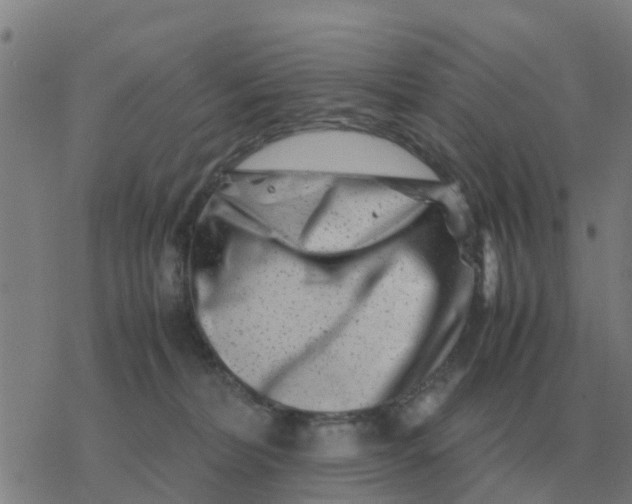 X0000077390228200611101802