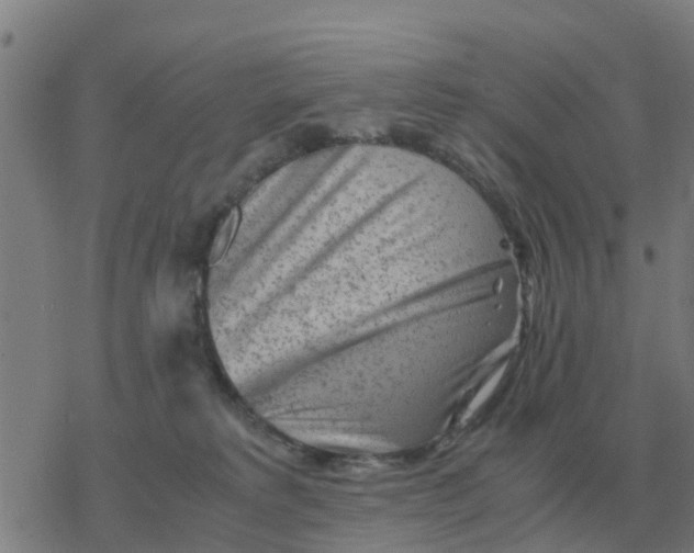 X0000077390229200611101802