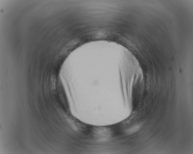 X0000077390230200611101802