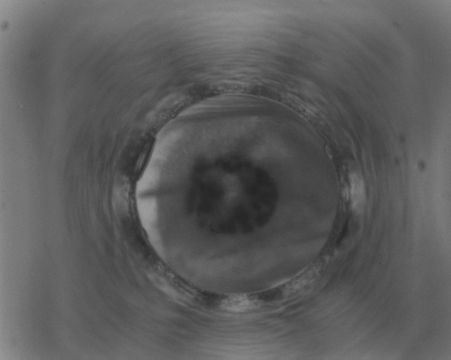 X0000077390231200611101802