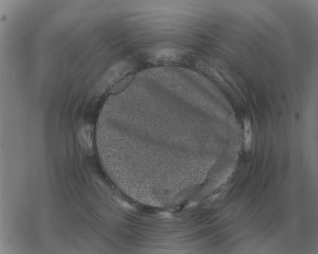 X0000077390232200611101802