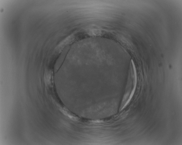 X0000077390233200611101802