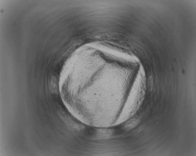 X0000077390234200611101802