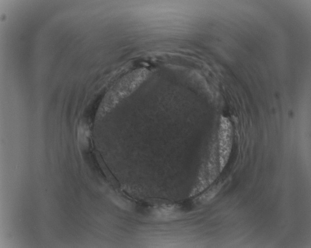 X0000077390235200611101802