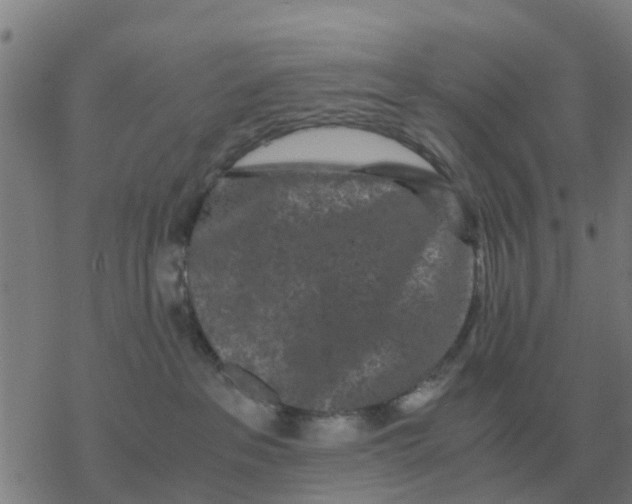 X0000077390237200611101802