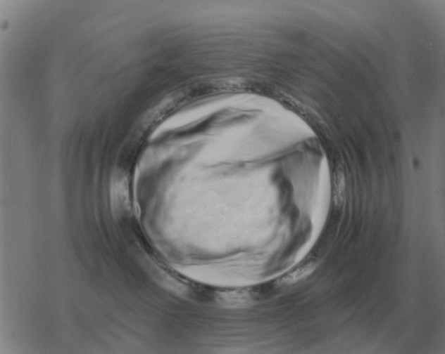 X0000077390238200611101802