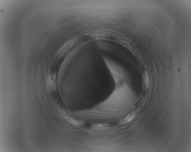 X0000077390239200611101802