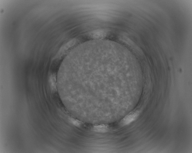 X0000077390240200611101802