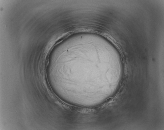 X0000077390241200611101801