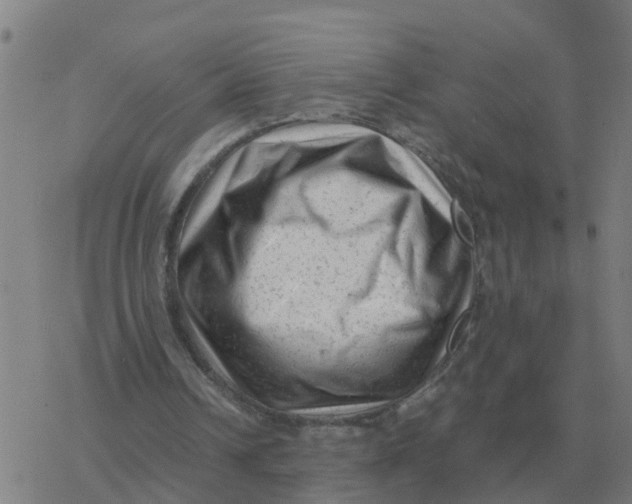 X0000077390242200611101801