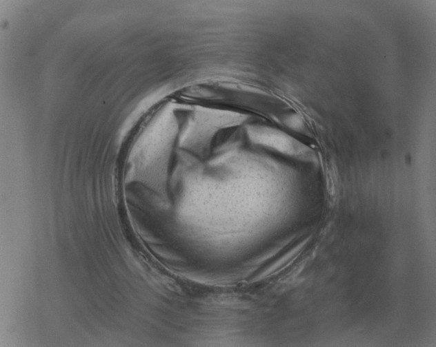 X0000077390244200611101801