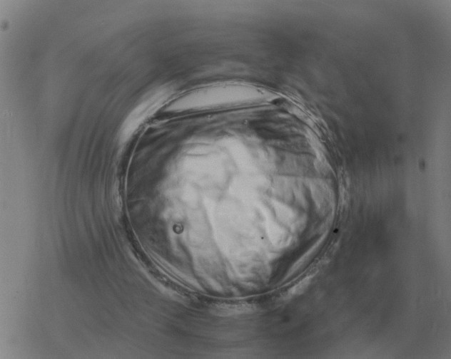 X0000077390245200611101801