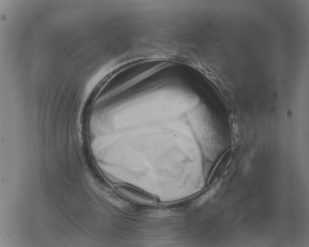 X0000077390246200611101801