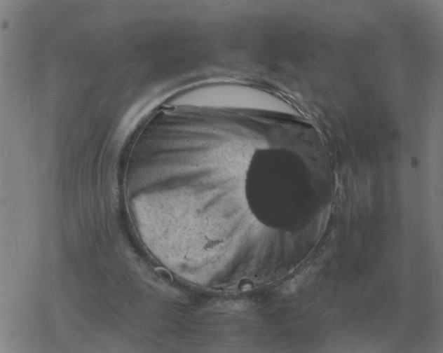 X0000077390247200611101801