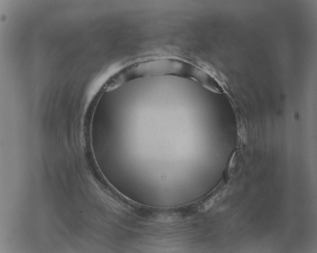 X0000077390248200611101801