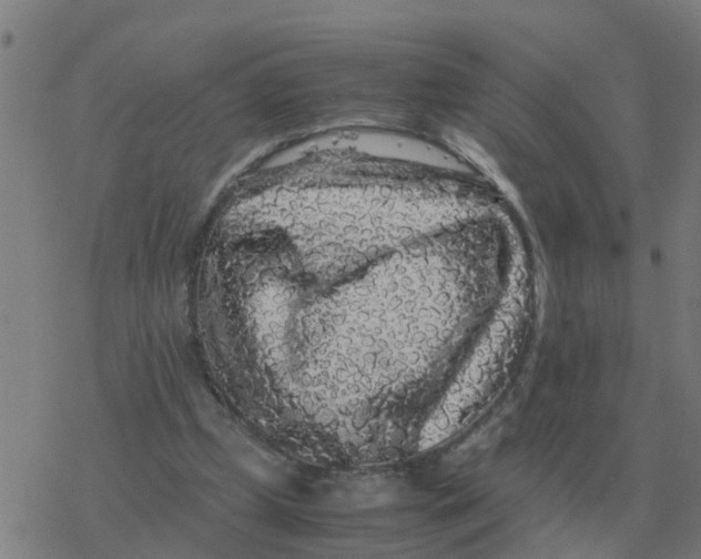 X0000077390249200611101801