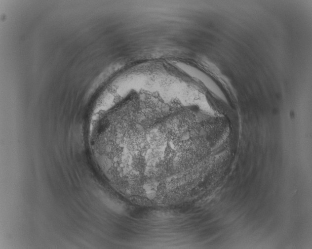 X0000077390250200611101801