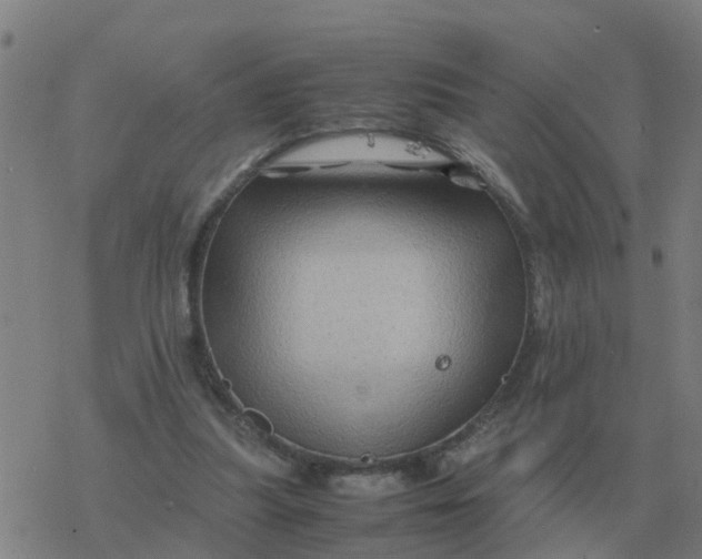 X0000077390251200611101801