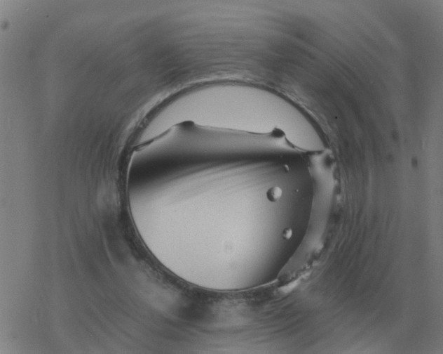 X0000077390252200611101801