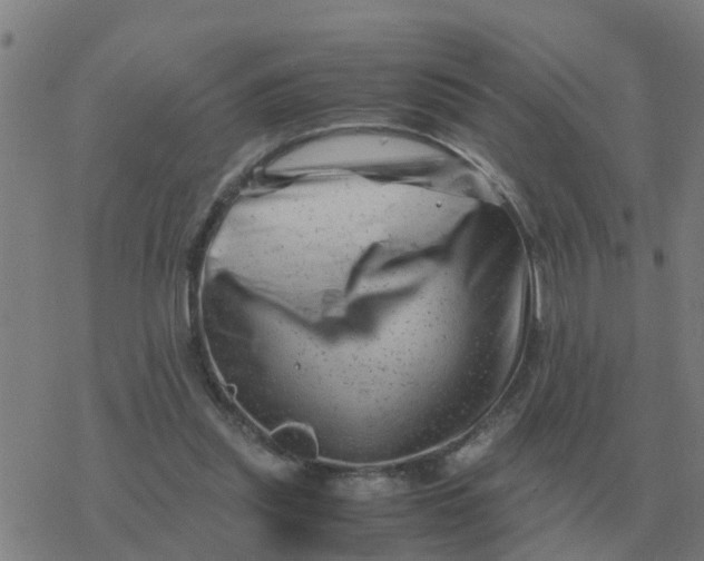 X0000077390253200611101801