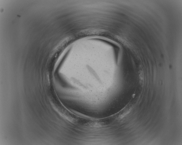 X0000077390254200611101801