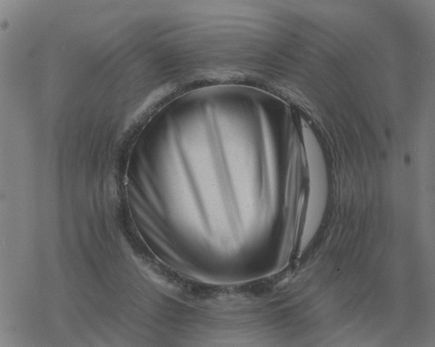 X0000077390256200611101802