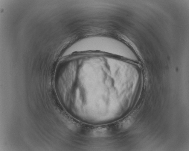 X0000077390257200611101802