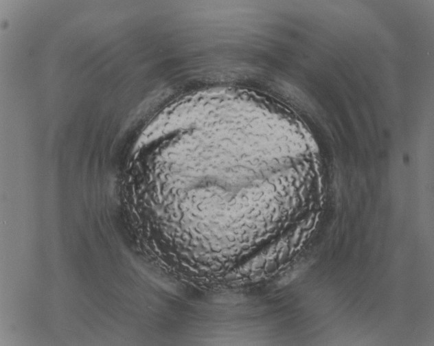 X0000077390258200611101802