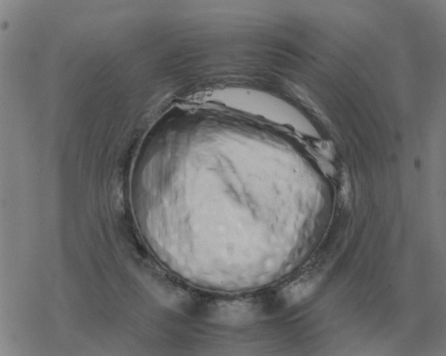 X0000077390259200611101802