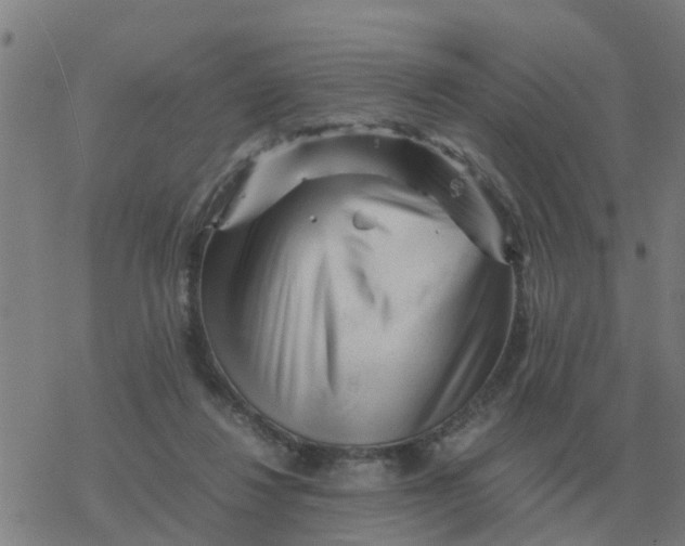 X0000077390260200611101802