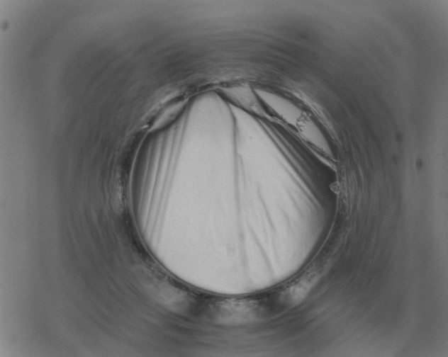 X0000077390261200611101802