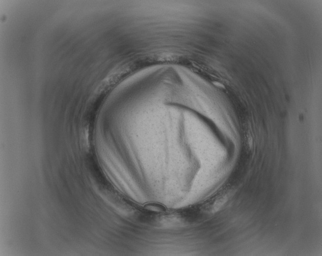 X0000077390262200611101802