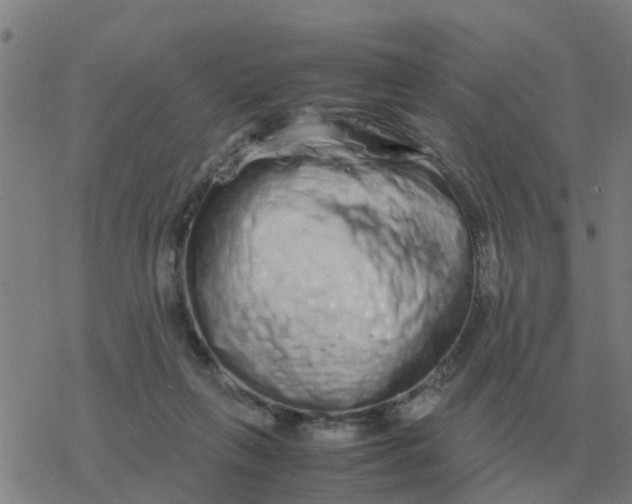 X0000077390263200611101802