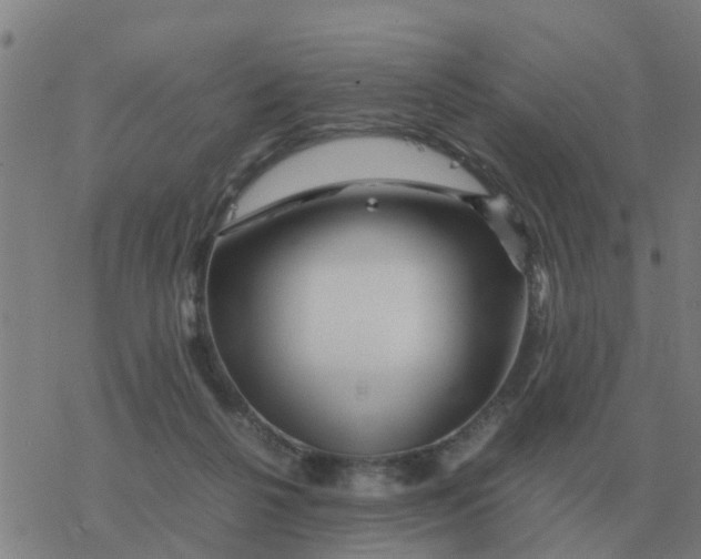 X0000077390264200611101802