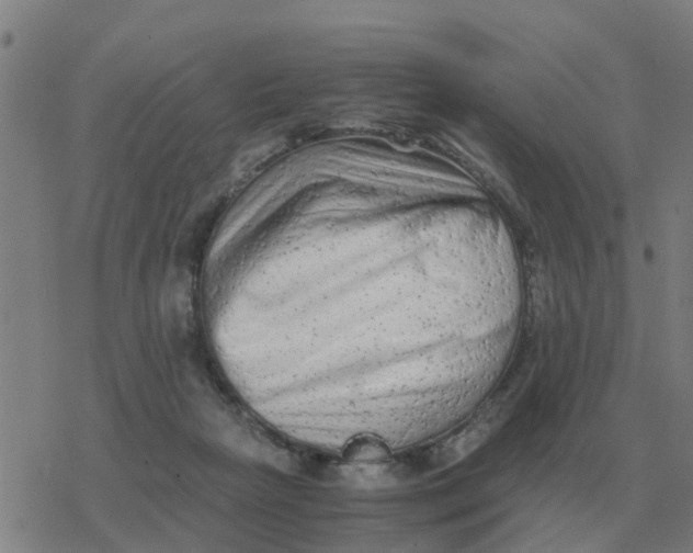 X0000077390265200611101802