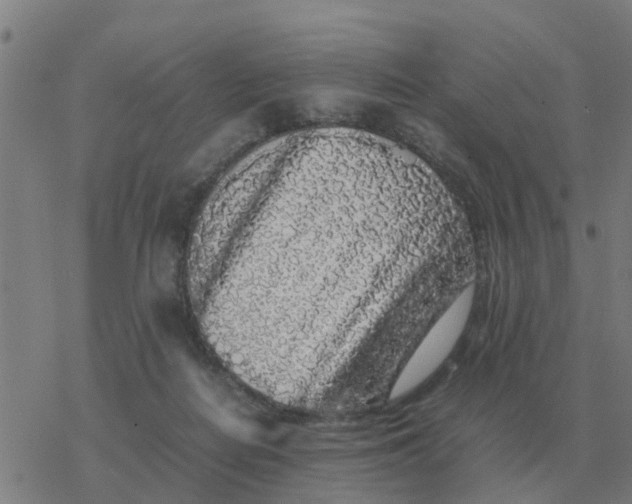 X0000077390266200611101802