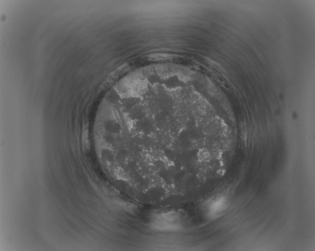 X0000077390267200611101802