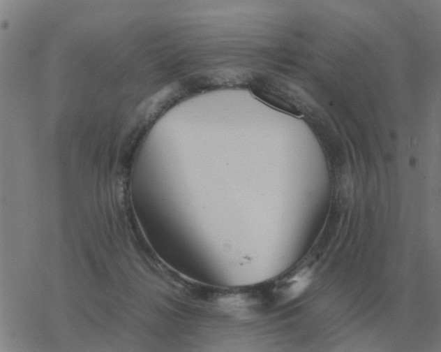 X0000077390268200611101802