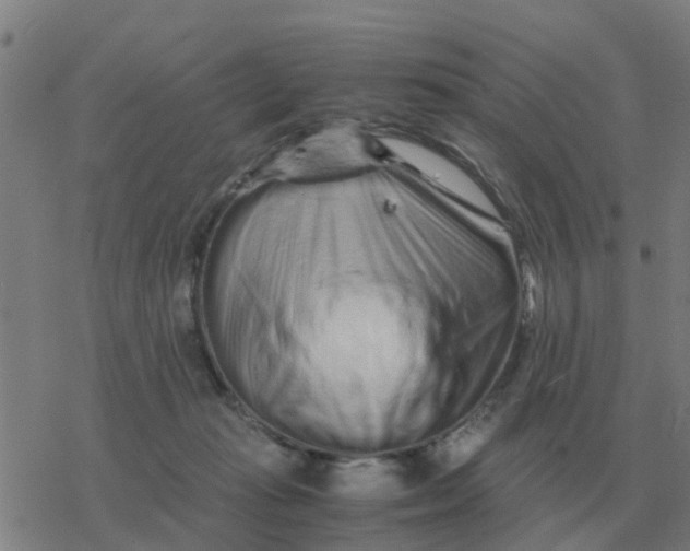 X0000077390269200611101802